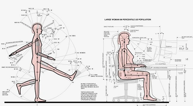 Nhân trắc học trong thiết kế nội thất