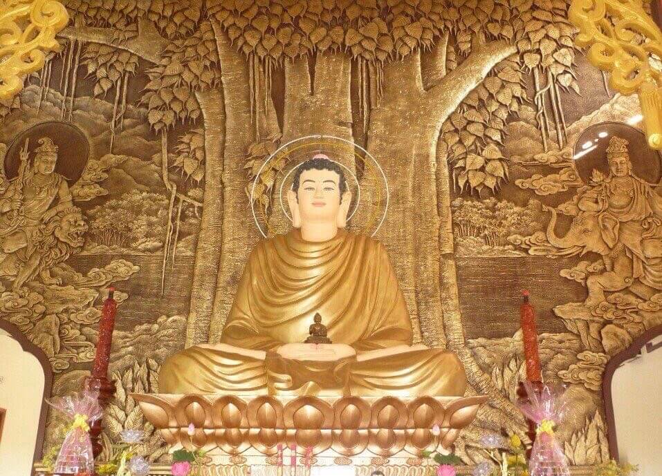 phu dieu bo de