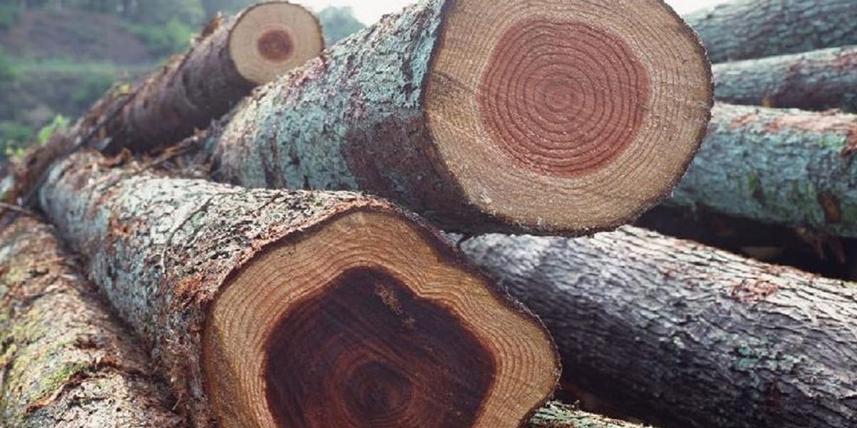 màu gỗ tự nhiên