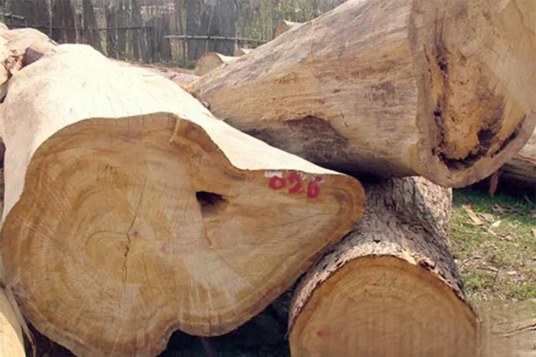 vật liệu gỗ tự nhiên