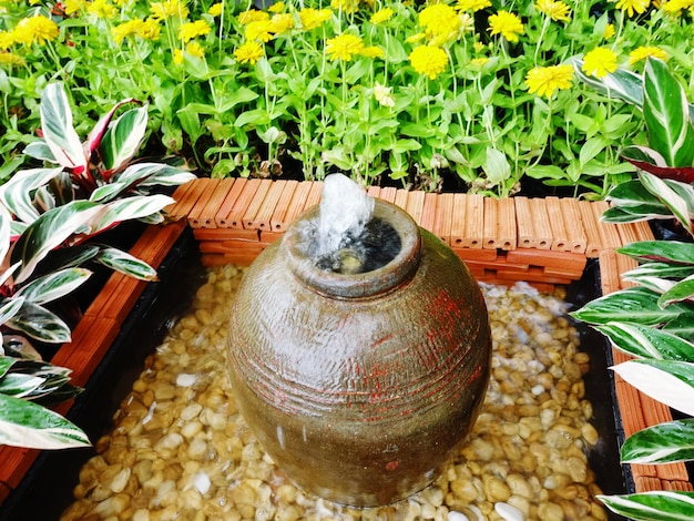 Lưu ý tiểu cảnh chum