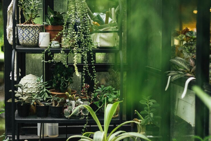 Biophilic Design là gì? Thiết kế sinh học kết nối thiên nhiên 2025 3 biophilic design