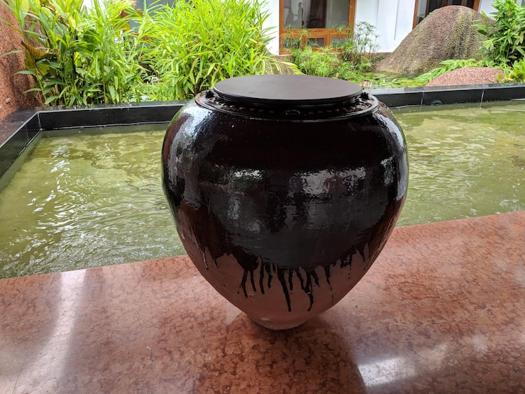 tiểu cảnh chum vại