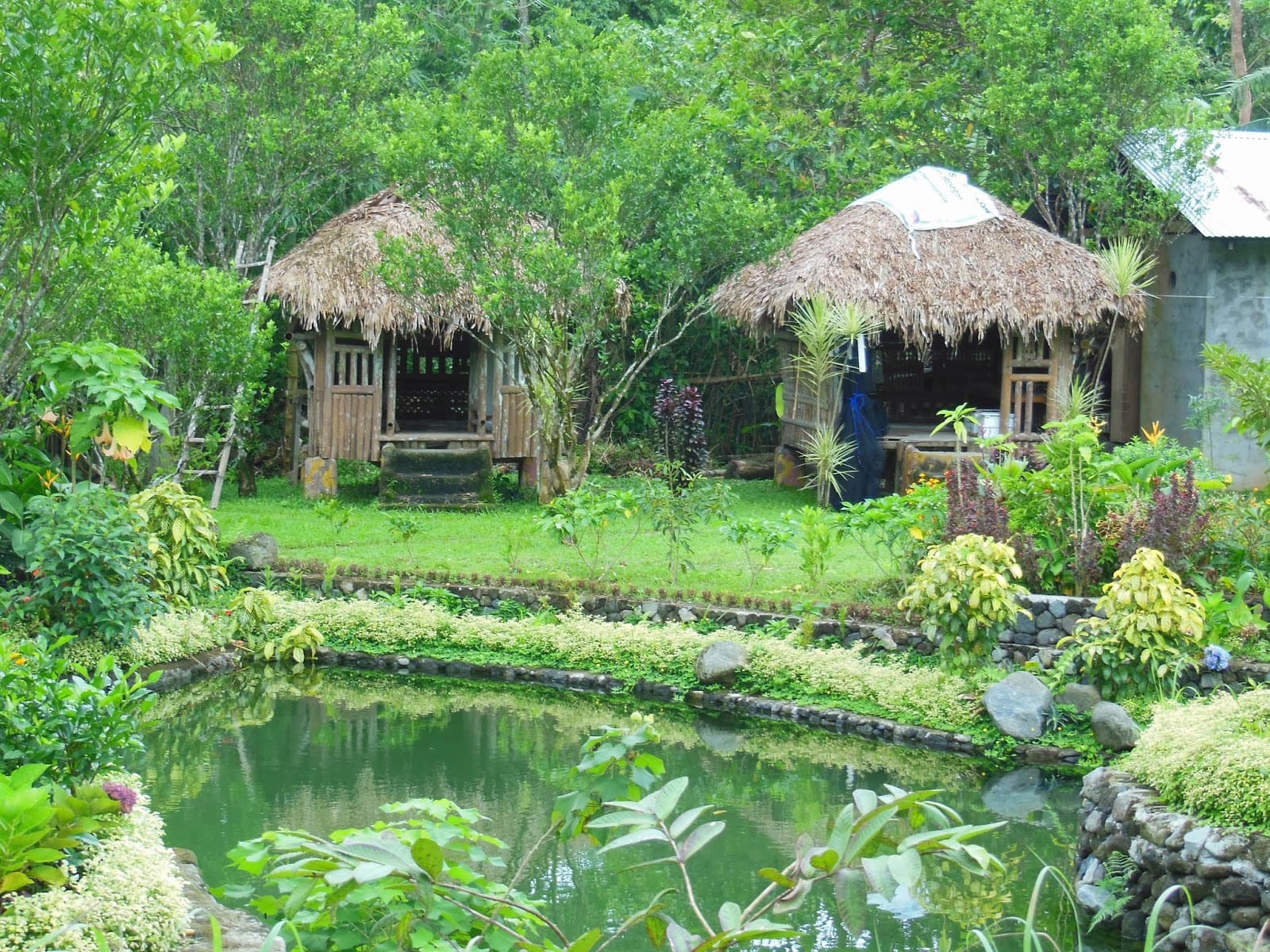 sân vườn nhà quê
