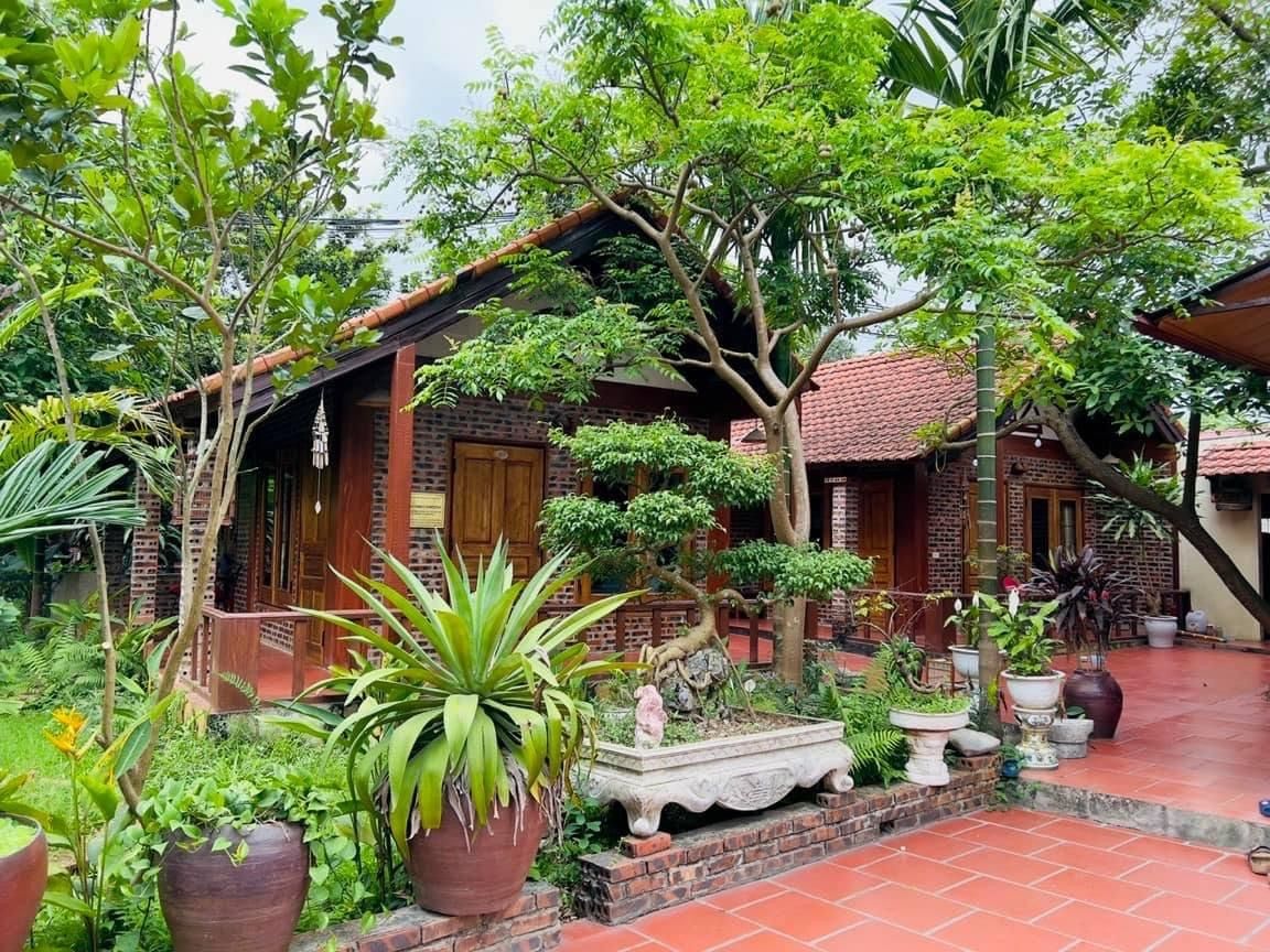 sân vườn đẹp ở quê