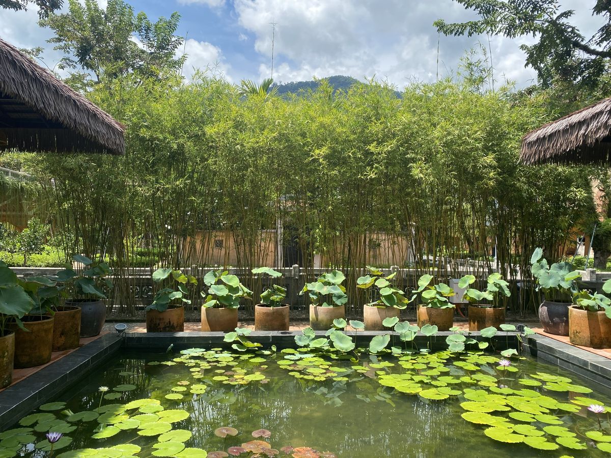 sân vườn nhà quê