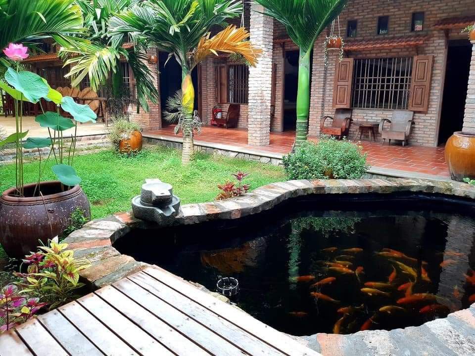 sân vườn quê đẹp