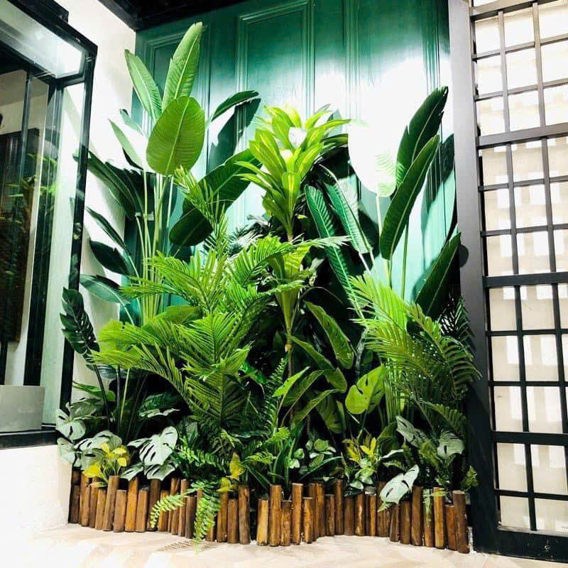 Mẫu tiểu cảnh khô trong nhà