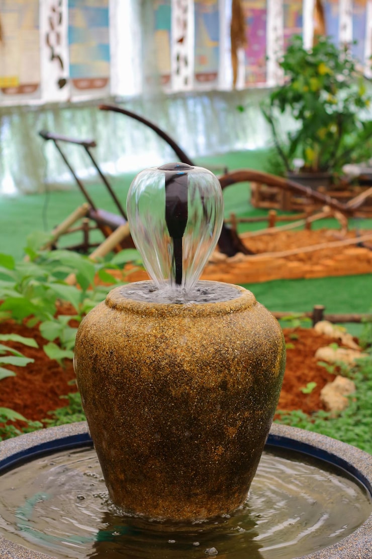 thiết kế tiểu cảnh chum