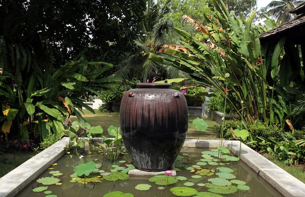 chum vại trang trí sân vườn