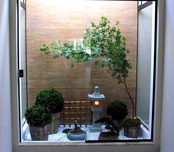 tiểu cảnh khô trong nhà