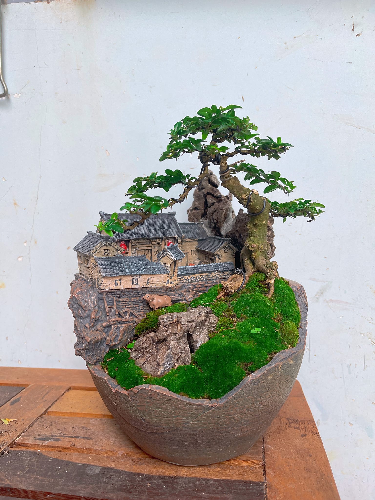 tiểu cảnh trong chum vỡ