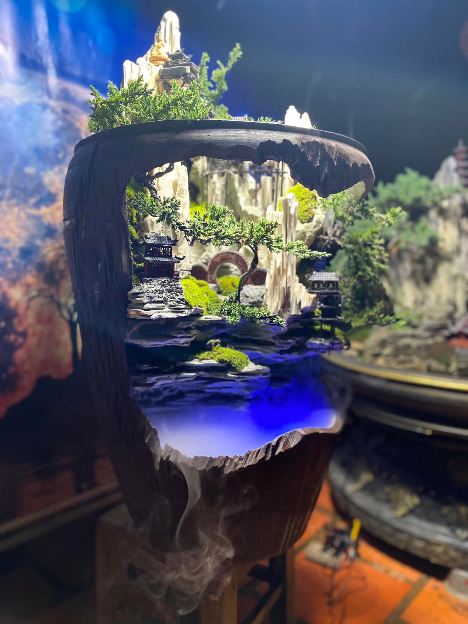 tieu canh trong chum vo 4