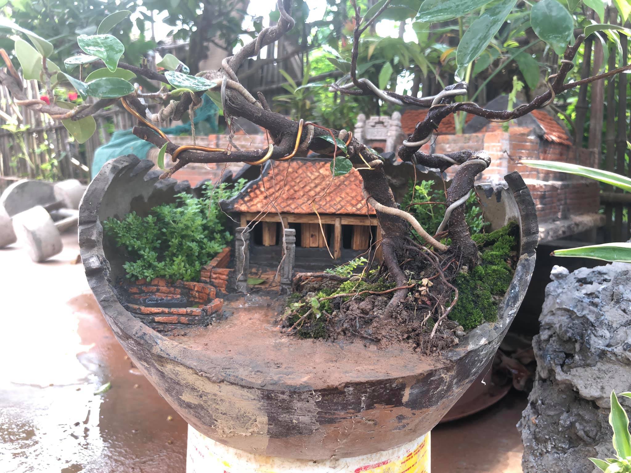 tiểu cảnh trong chum vỡ