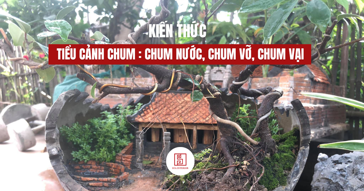 Tiểu cảnh chum nước, chum vỡ, chum vại: 50+ mẫu đẹp 2025 Tiểu cảnh chum nước, chum vỡ, chum vại: 50+ mẫu đẹp 2025