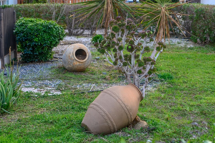 trang trí sân vườn bằng chum vại