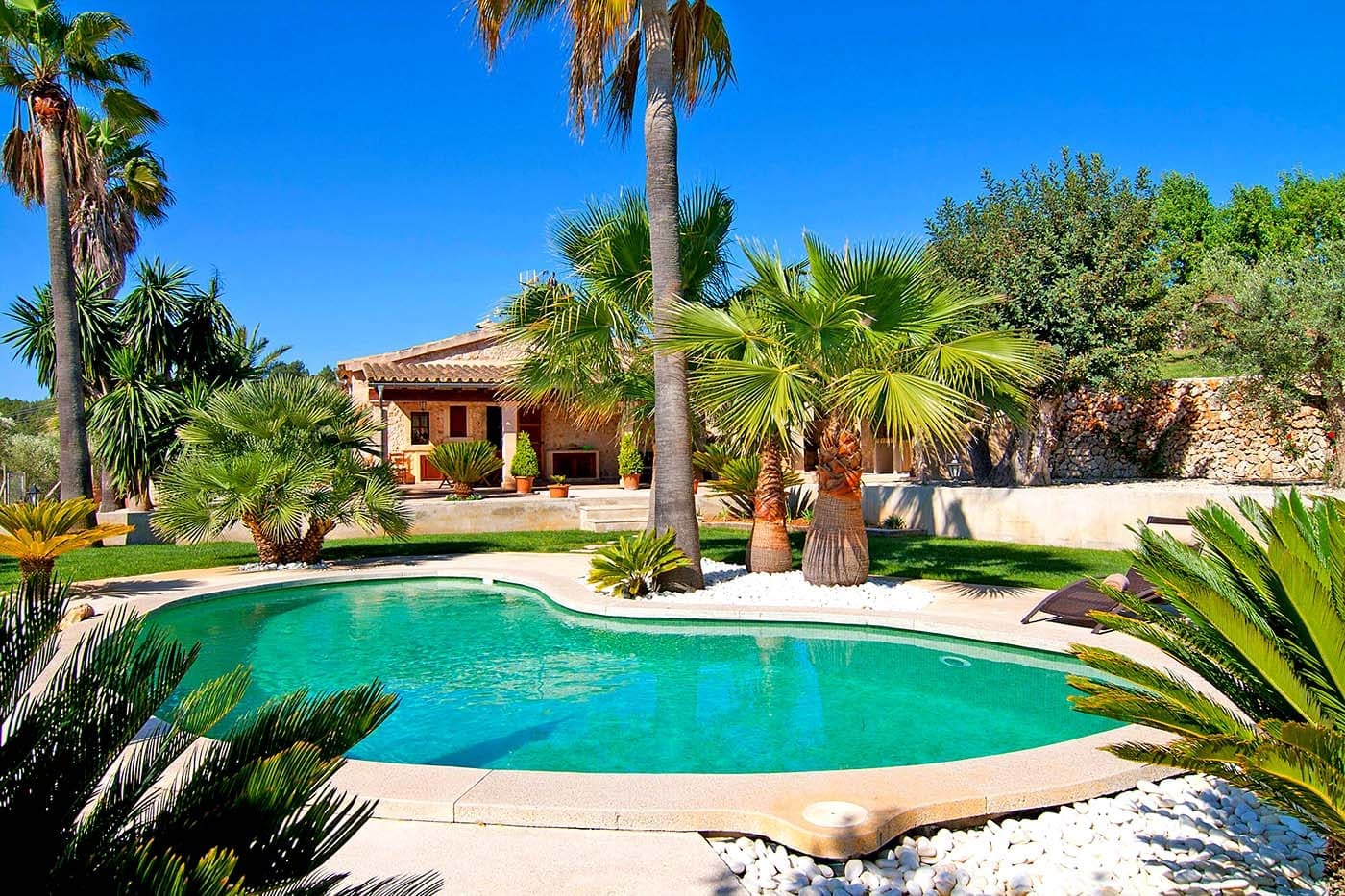 Sân vườn Địa Trung Hải: Top mẫu thiết kế đẹp 2025 12 sân vườn địa trung hải