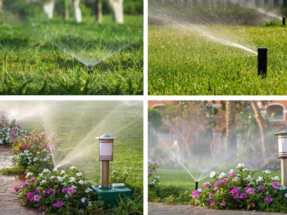 Tất tần tật về hệ thống tưới tự động sân vườn cần biết 7 hệ thống tưới tự động sân vườn