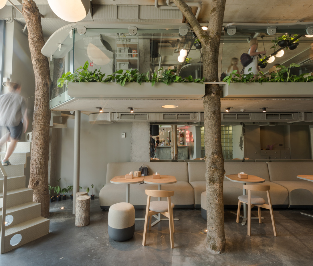 thi công quán cà phê tại Hà Nội