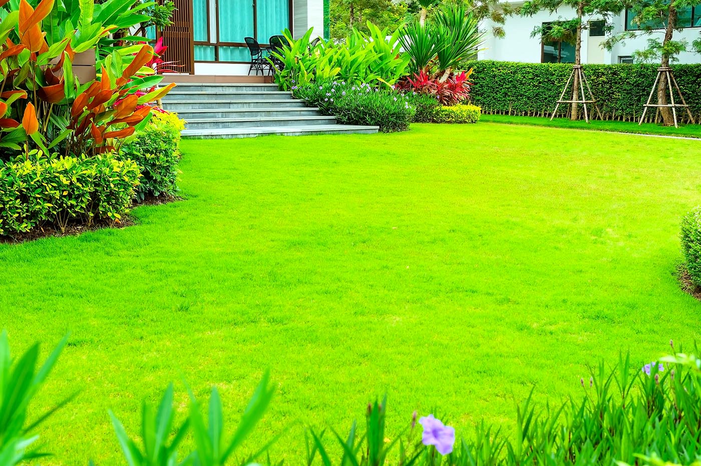 Sân vườn Địa Trung Hải: Top mẫu thiết kế đẹp 2025 15 sân vườn địa trung hải