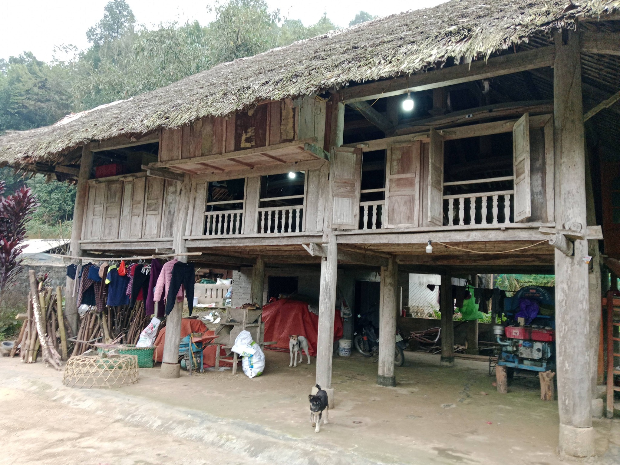 Stilt House là gì? Tìm hiểu nhà sàn Việt Nam và thế giới 14 stilt house