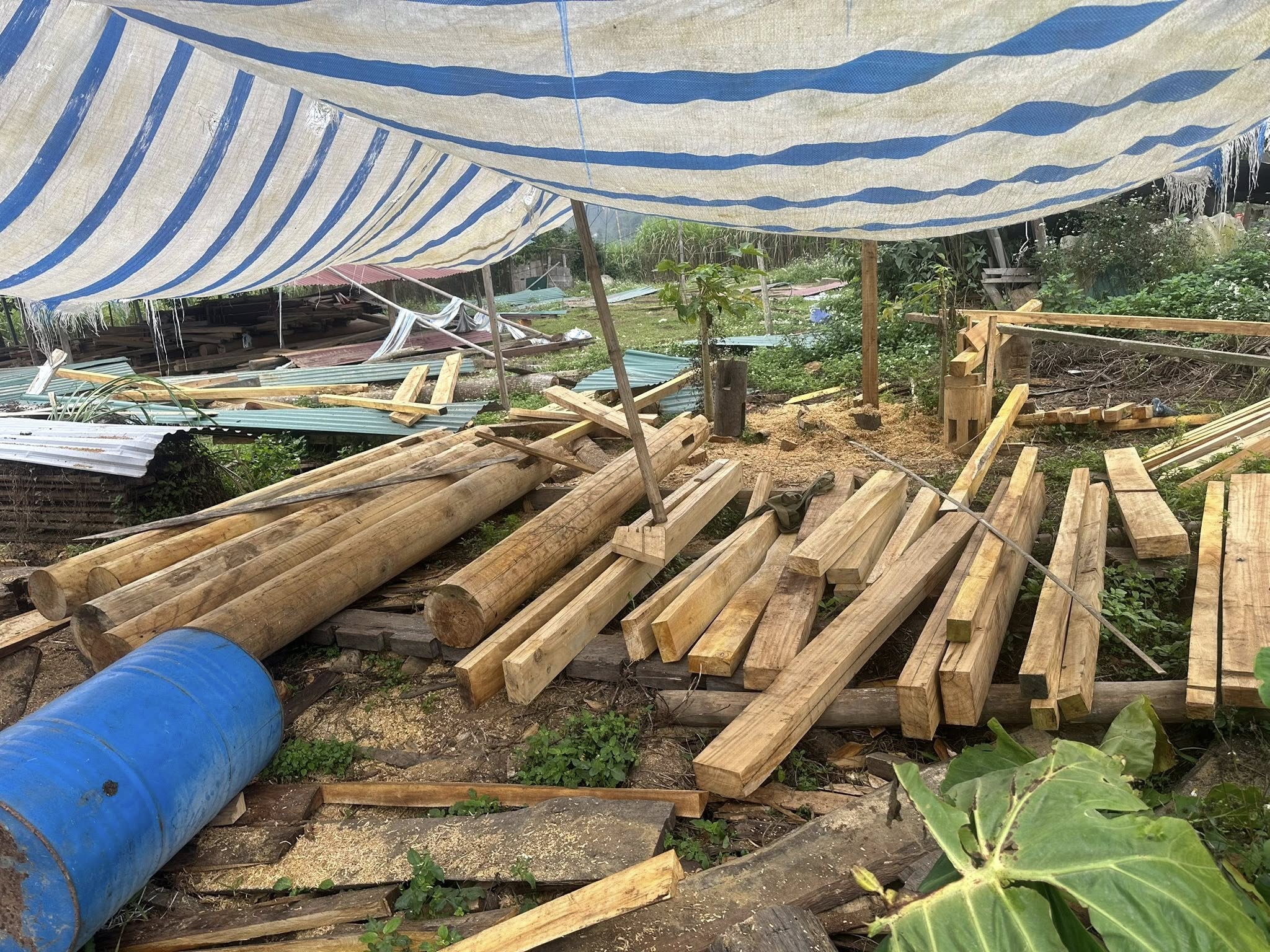 Stilt House là gì? Tìm hiểu nhà sàn Việt Nam và thế giới 4 stilt house là gì