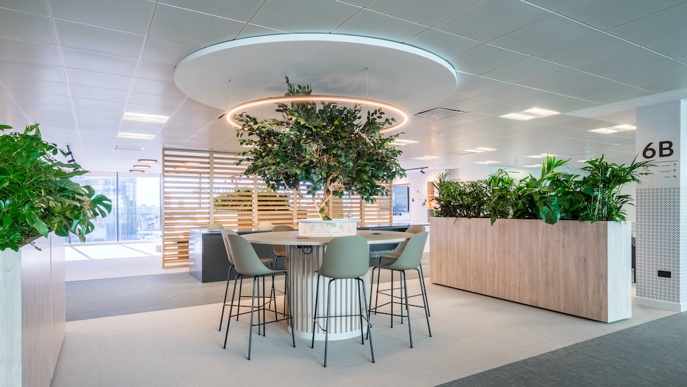 Phong cách Scandinavian trong officetel